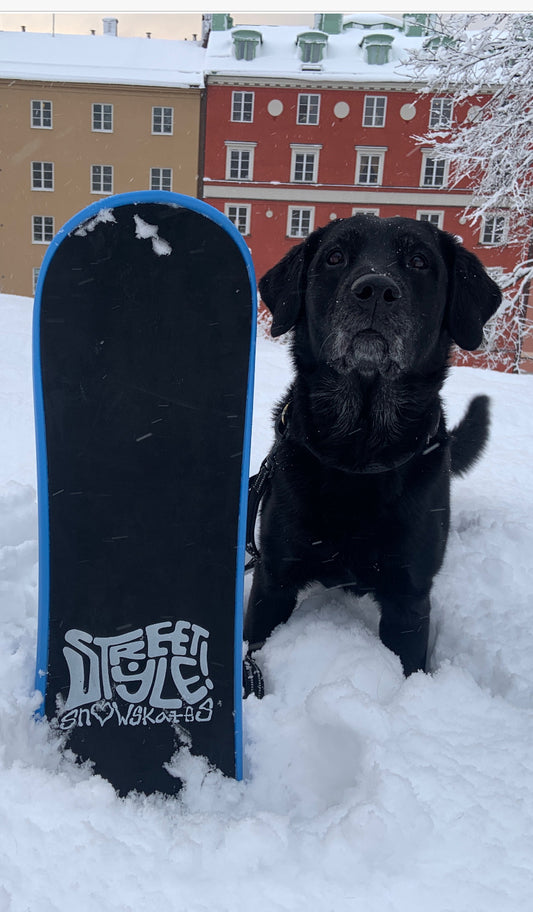 Street Style Blue Hippie  Snowskate